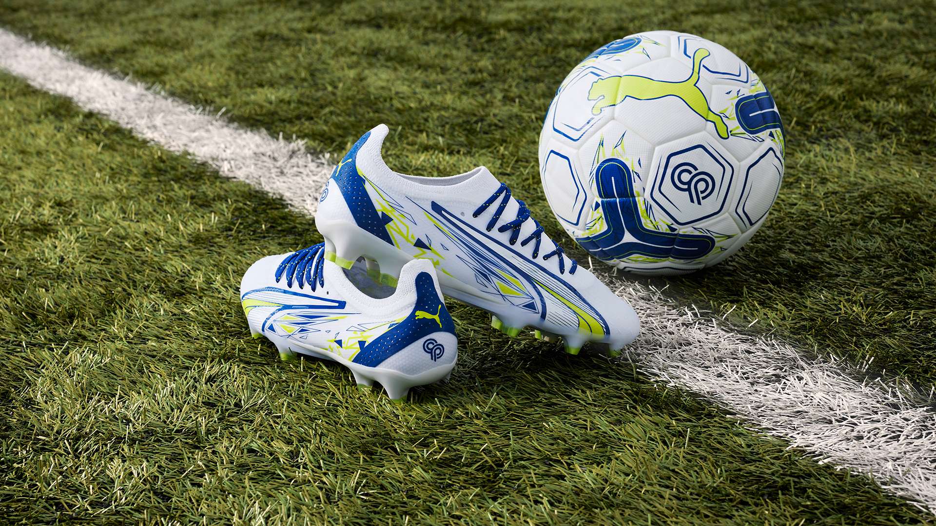 精神領袖 精神領袖