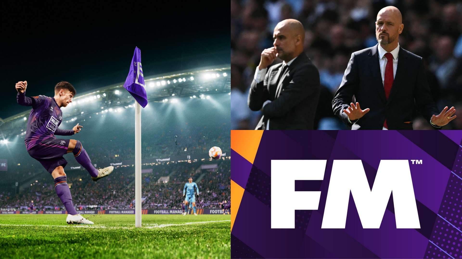 本赛季不仅 本赛季不仅