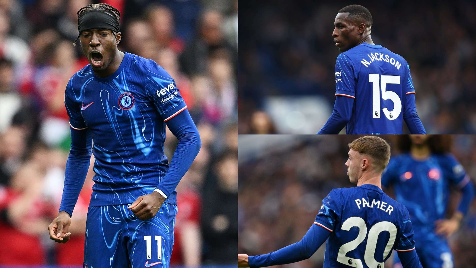 琴科合理的 琴科合理的